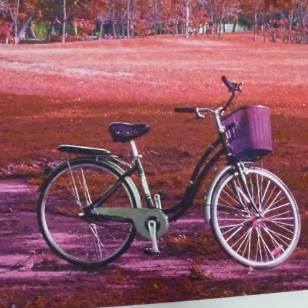 En Con Piscina Apartment *